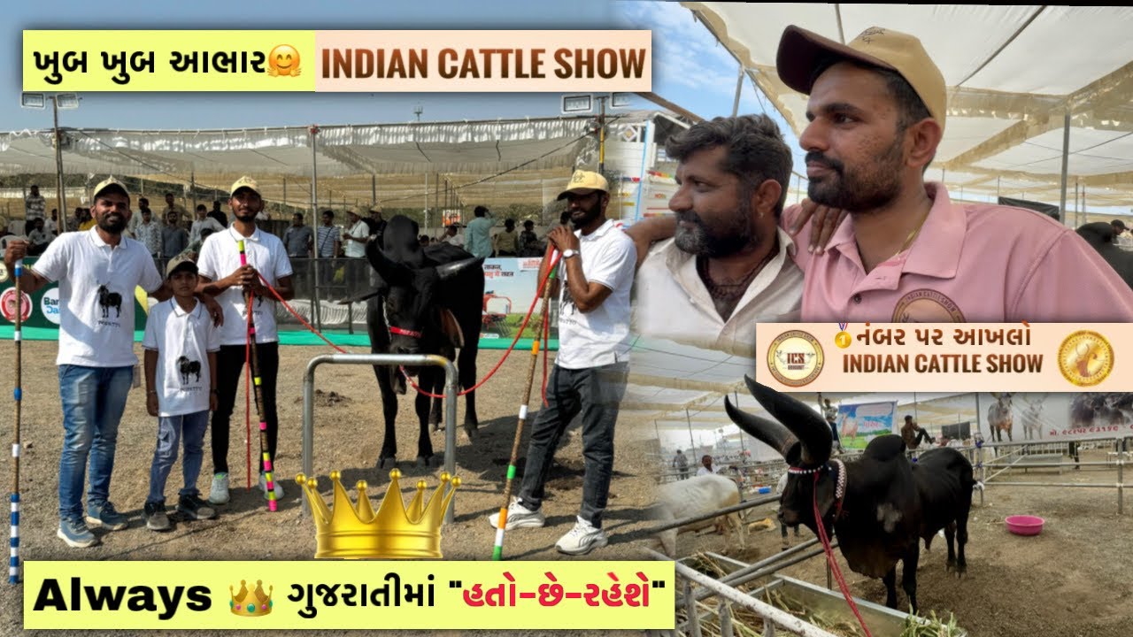 ખુબ ખુબ આભાર ICS Rajkot Team 🙏 | 3 દિવસમાં ફુલ મોજ | પોપટીયા માટે Next Time વધારે મહેનત કરશું 🤗