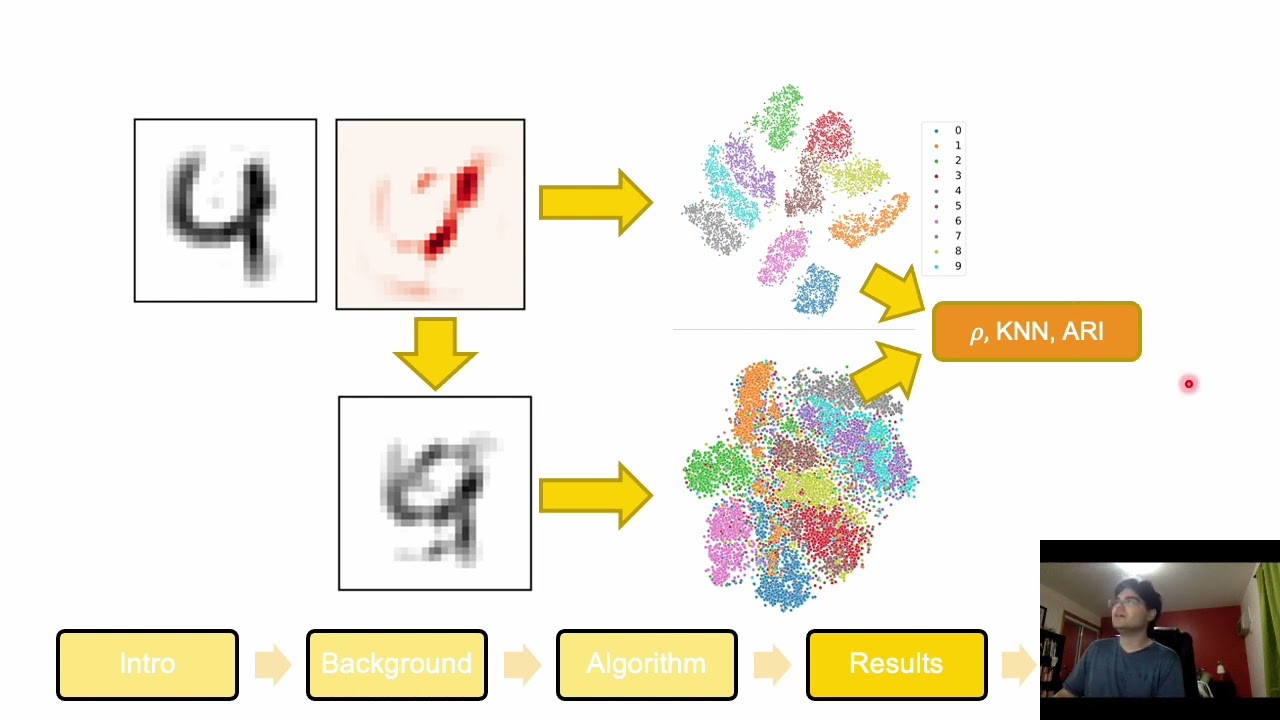 Towards Computing Attributions for Dimensionality Reduction... - Matthew Scicluna - GLBIO2023
