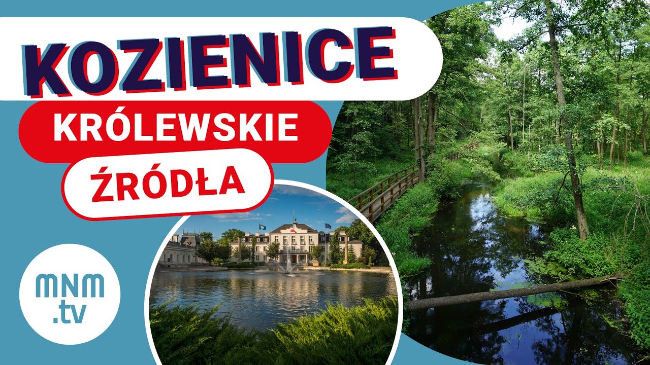 Królewskie źródła w Puszczy Kozienickiej