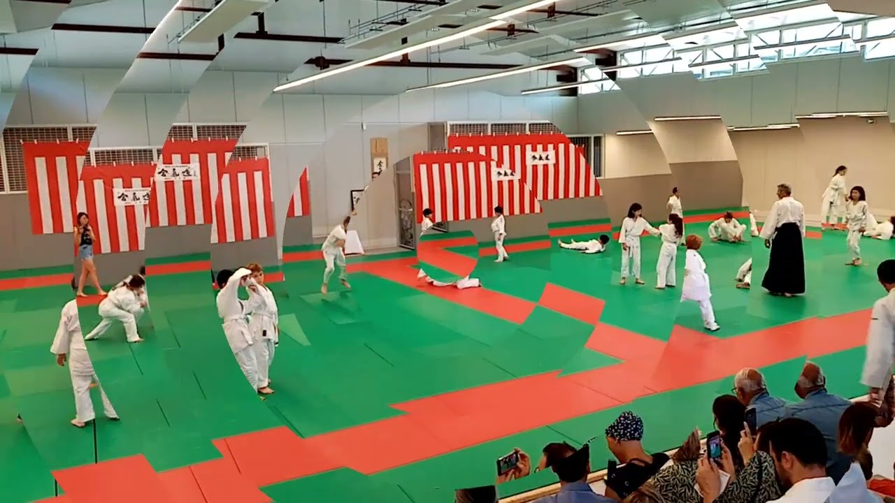 Démonstration d'Aïkido enfants Club Matsukaze Bordeaux Mérignac