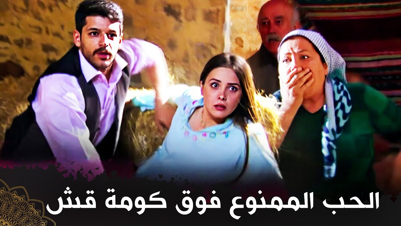الحب الممنوع فوق كومة قش |  (فيلم تركي مدبلج للعربية) 