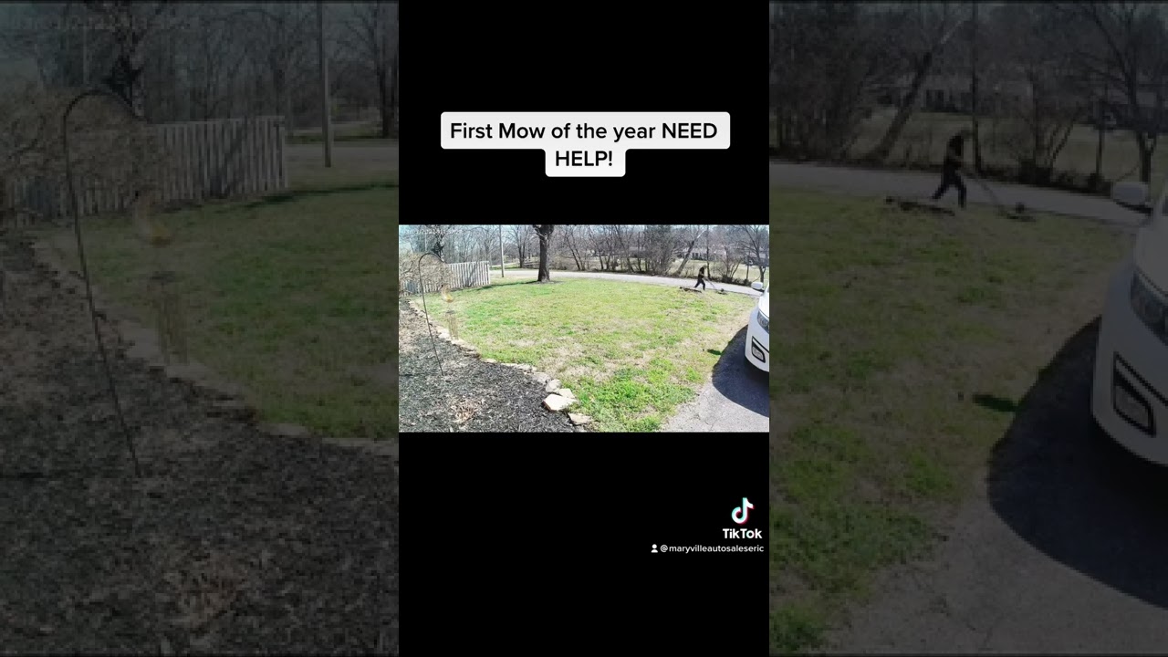 HELP ME FIX MY LAWN!! #lawncare #advice #diy