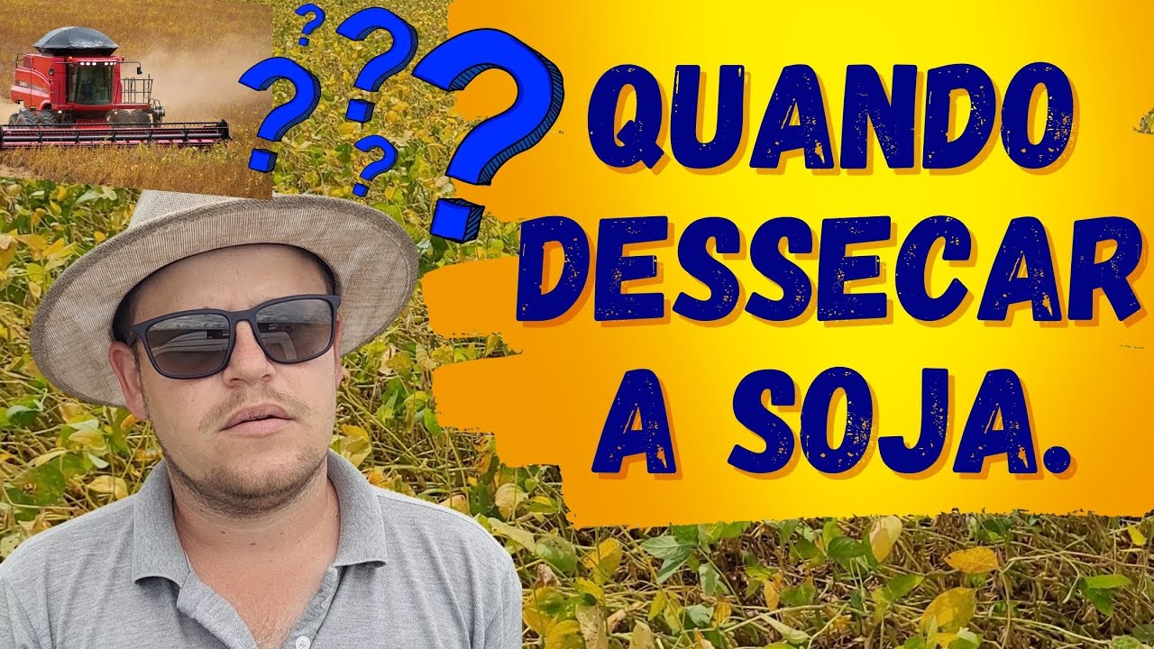 COMO IDENTIFICAR SE A SOJA ESTÁ NO ESTÁDIO FENOLÓGICO IDEAL PARA FAZER A DESSECAÇÃO PRÉ-COLHEITA