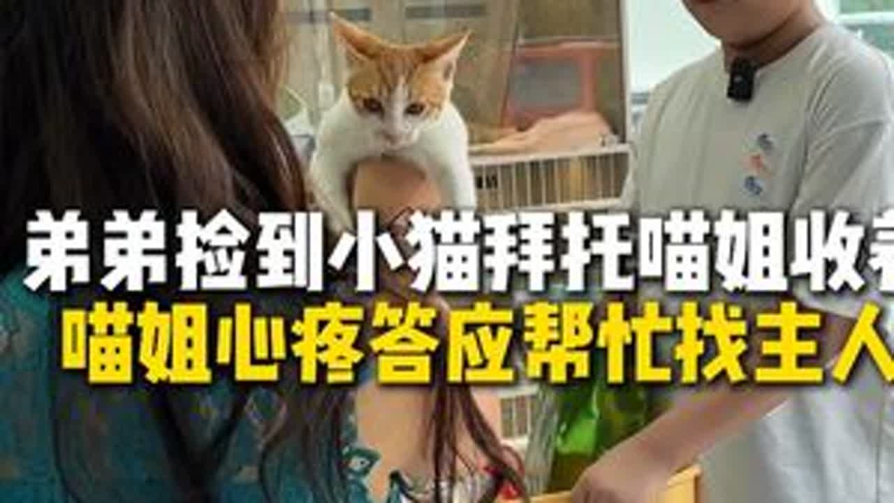 爱心小弟弟救助的橘猫找主人啦！#猫咪 #橘猫 #救助 #爱心 #流浪猫