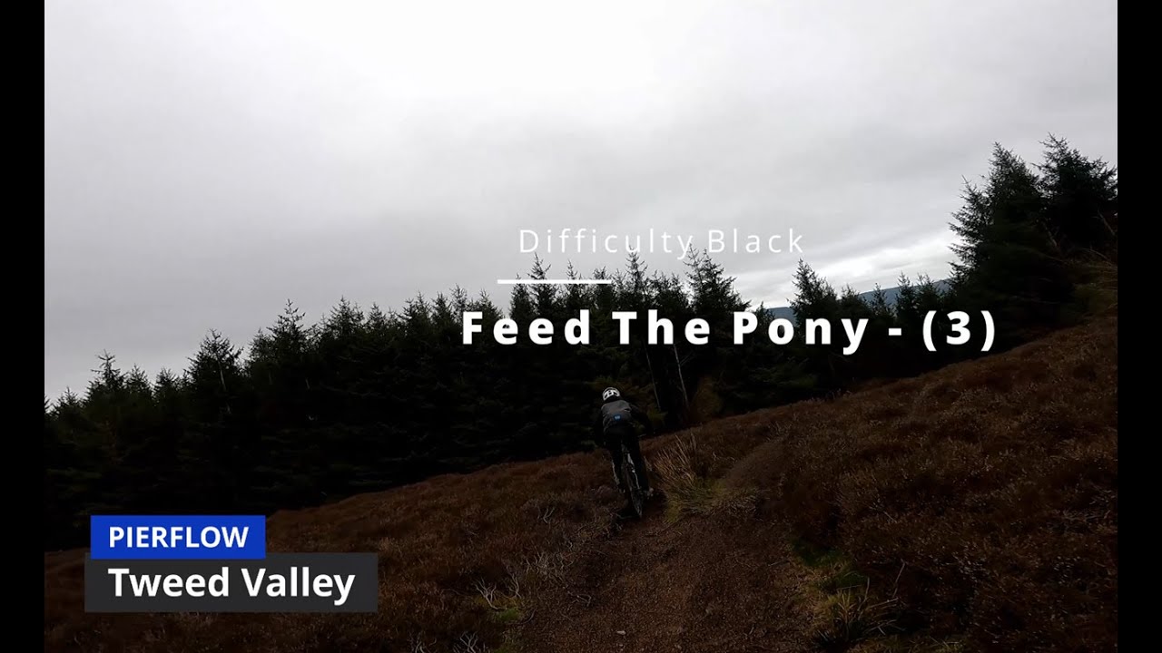 BLIND FULL RUN | Feed the Poney