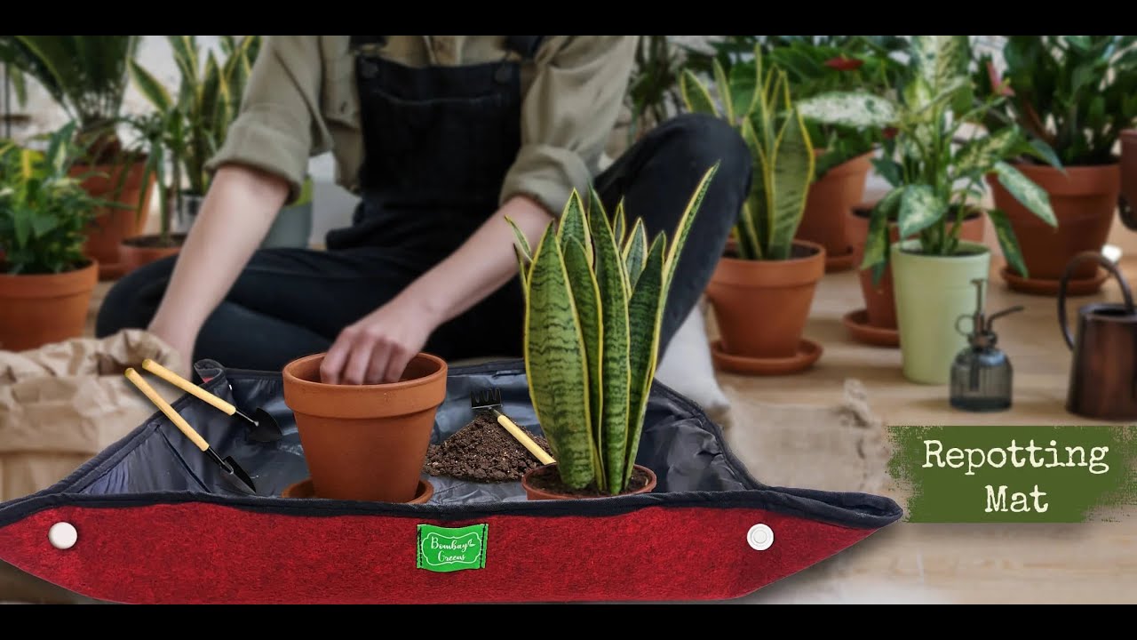 1️⃣ The No 1 Hack for 🙆&zwj;♀️Mess Free Gardening. Try this Gardening Mat for Repotting by Bombay Greens