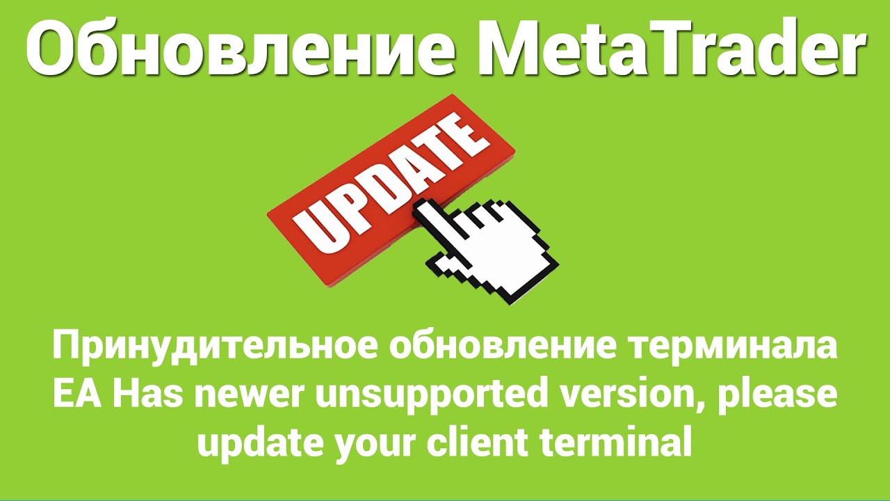 LiveUpdate Принудительное обновление терминала MetaTrader!