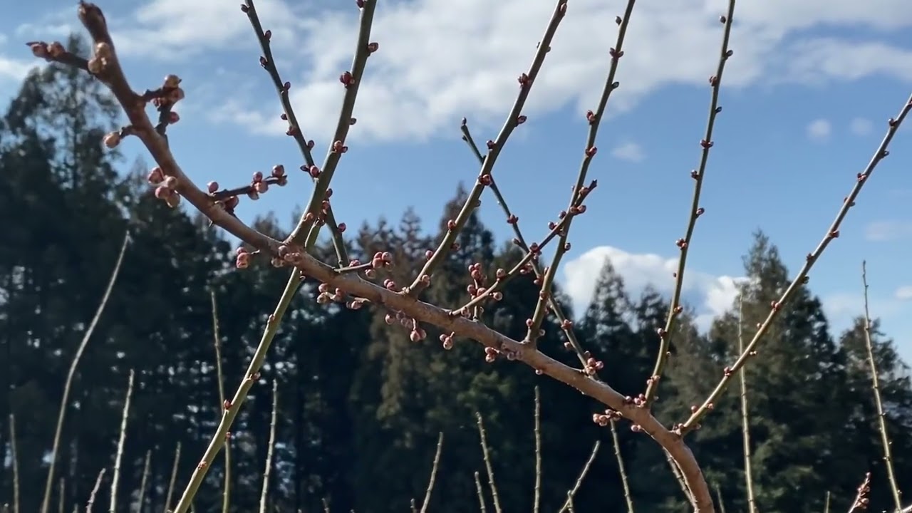 Приглашаю на прогулку со мной ( влог)
