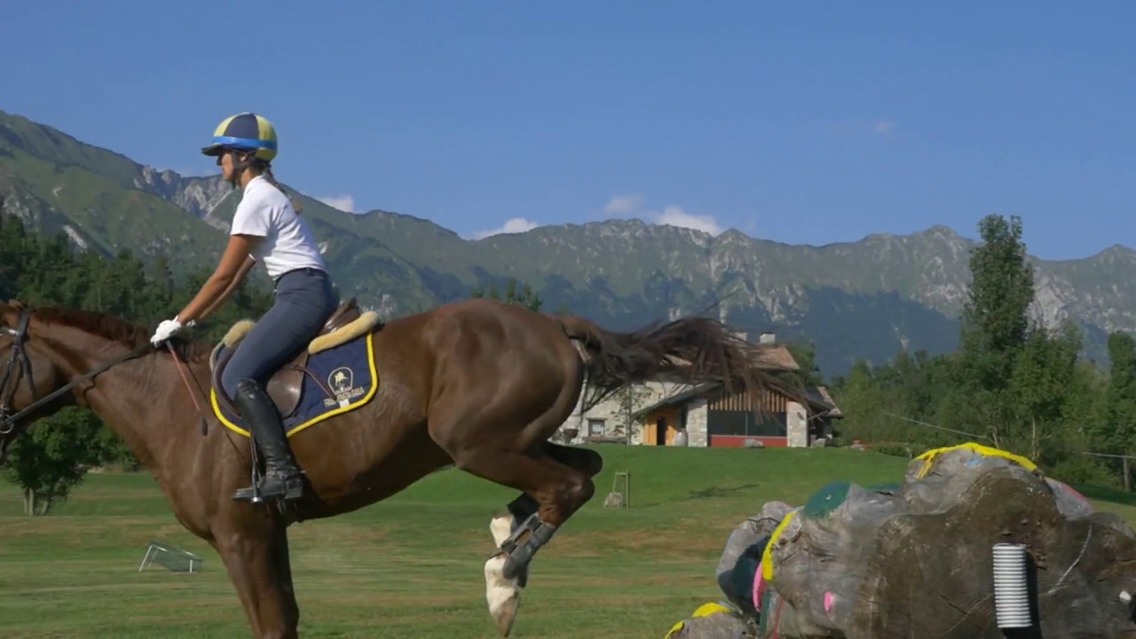 Campo di Bonis - Chalet