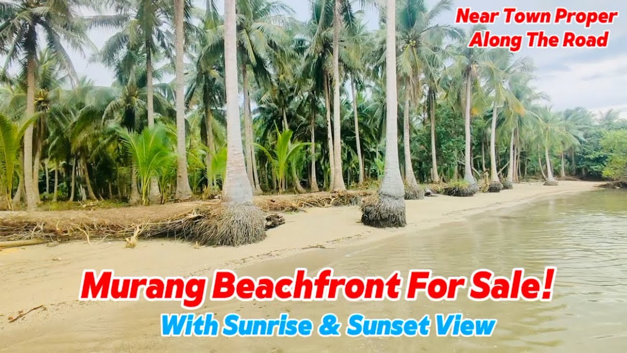V#195 part 7 Beachfront for sale!  Visit w/ Buyer kaht kakatapos lang ng bagyo
