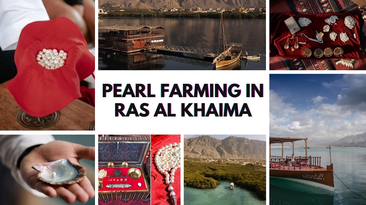 Pearl Farming in Ras al Khaima