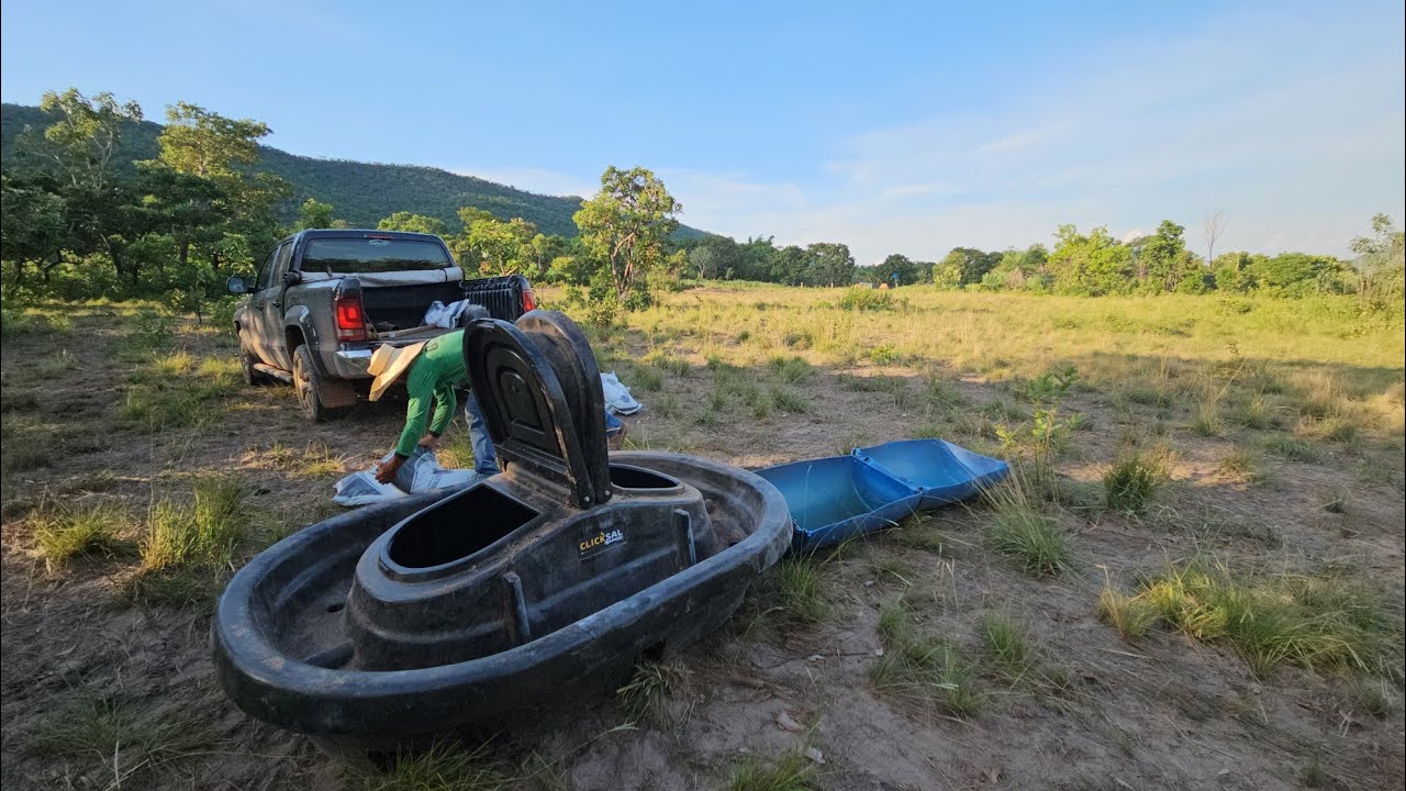 DO ZERO A ENGORDA - fazendo o básico bem feito!