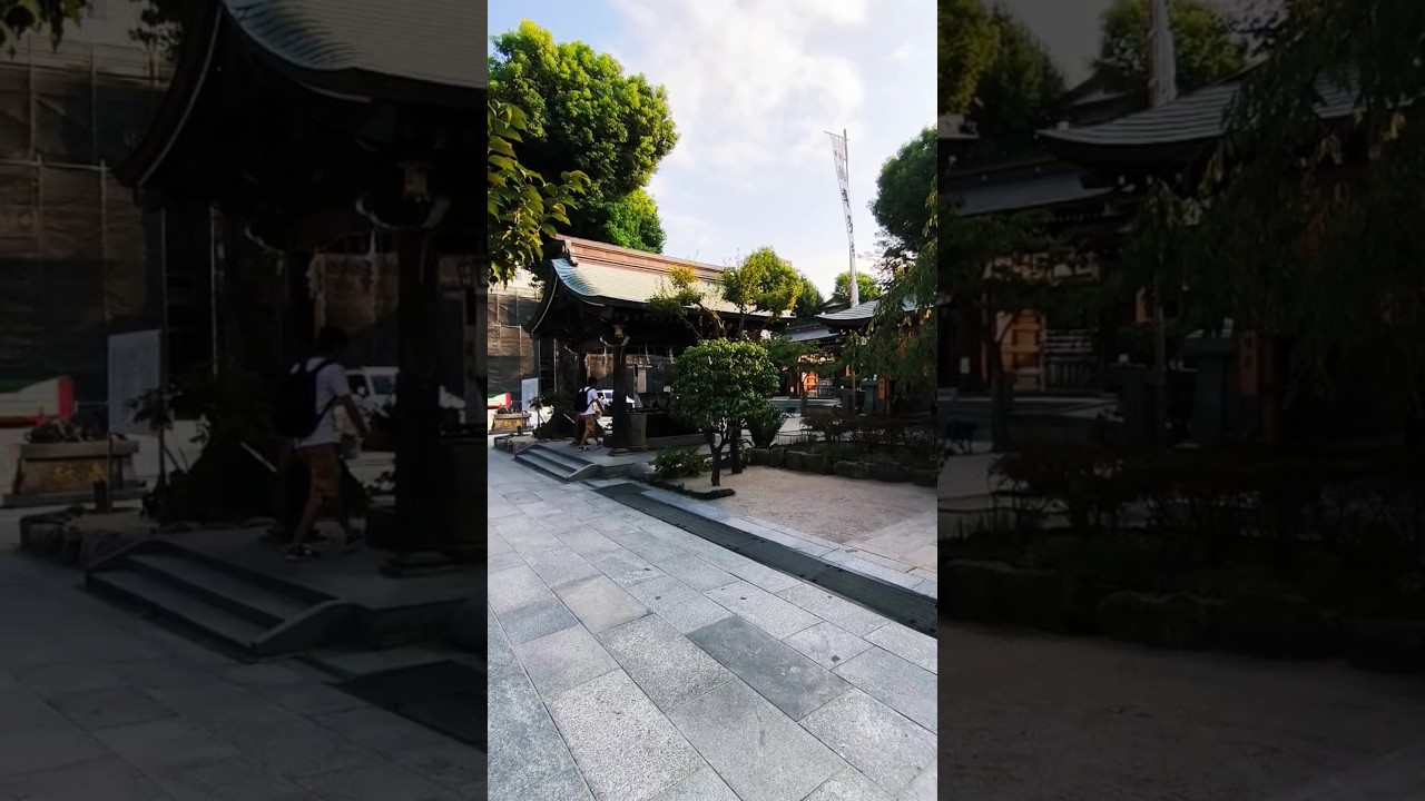 Noisy Crow at Kushida shrine 