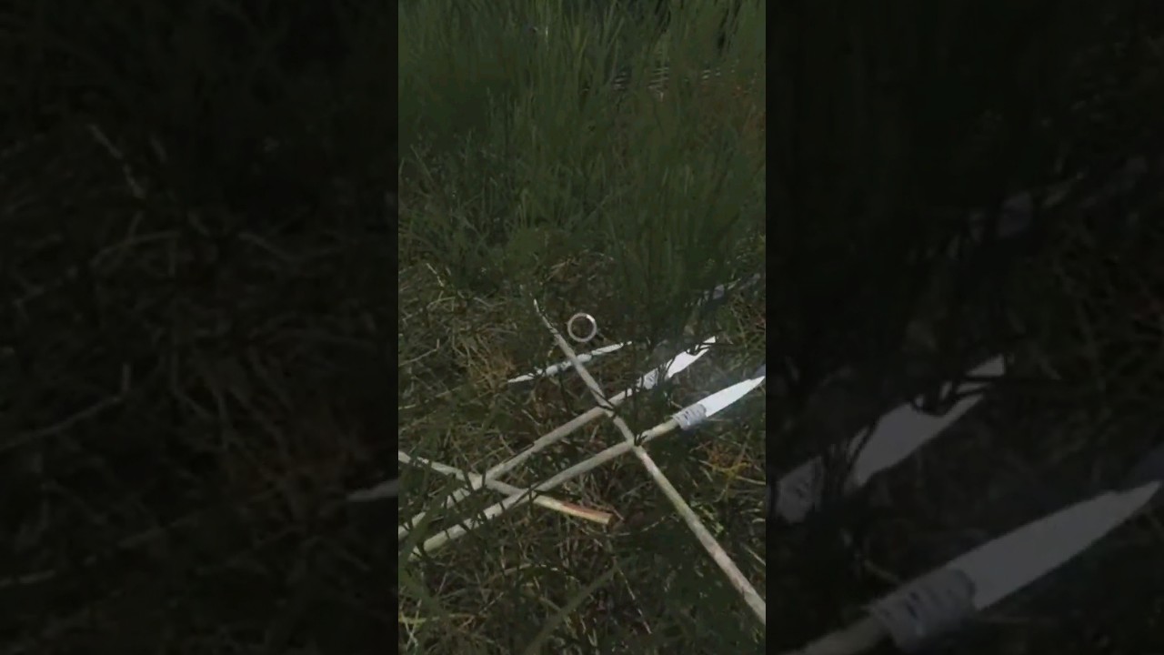 DayZ Raiding With Spears Cave Man style #dayz #shorts #raid