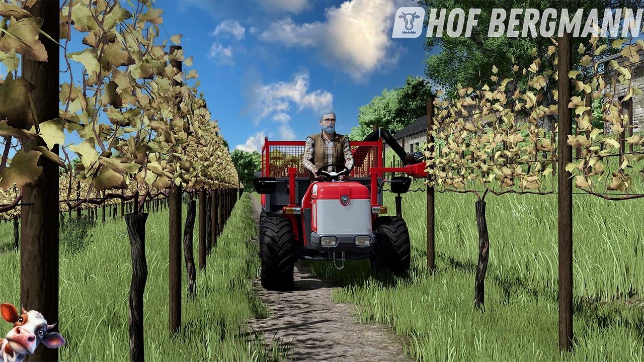 LS25 / Hof Bergmann # 176