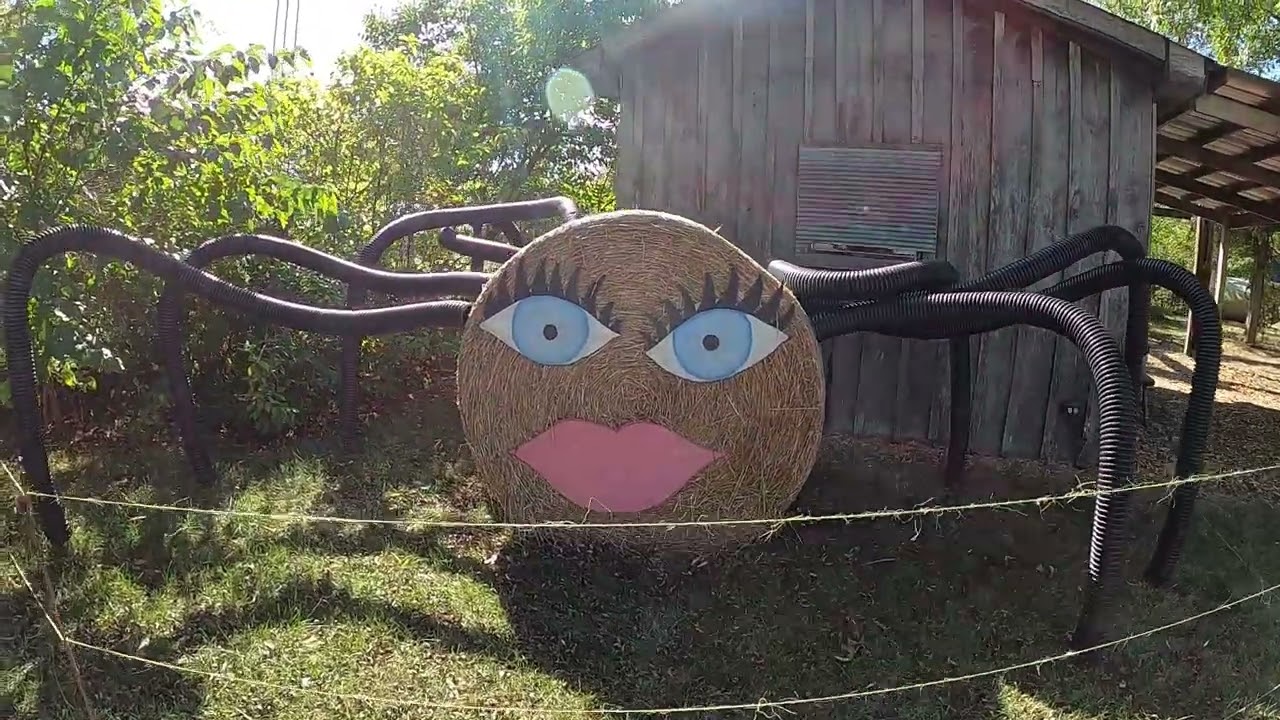 Visiting The Great Pumpkin Patch in Arthur, IL 2025