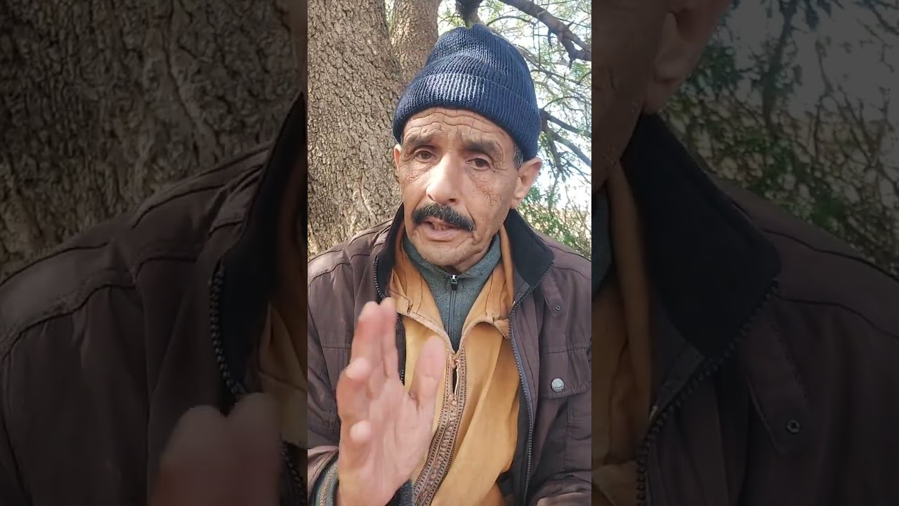 أربع قصص خطيرة مع بالهاشمي/#قصص_قبل_النوم