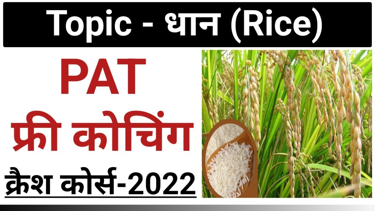 नि:शुल्क PAT क्रैश कोर्स- 2022 धान (Rice) की खेती