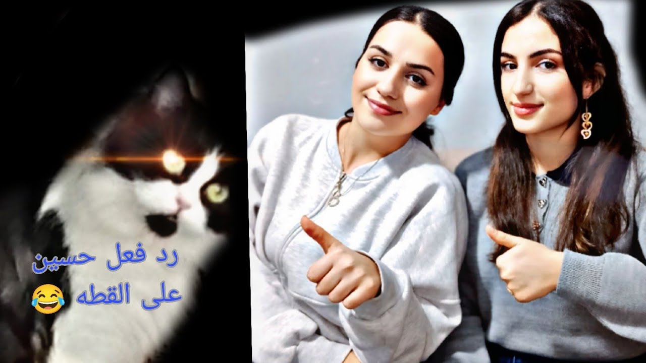 جوزي جاب قطه علبيت😻اجو حسين ونورا لعنا انبسطنا كتير حسين خاف من القطه 😂 غنينا أنا وحسين🎤