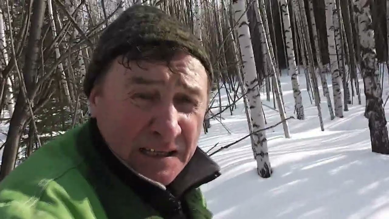 На лыжах, в поисках старой делянки.