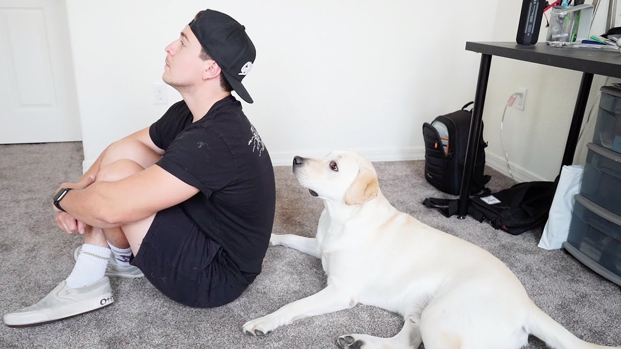IGNORING MY LABRADOR PUPPY!!