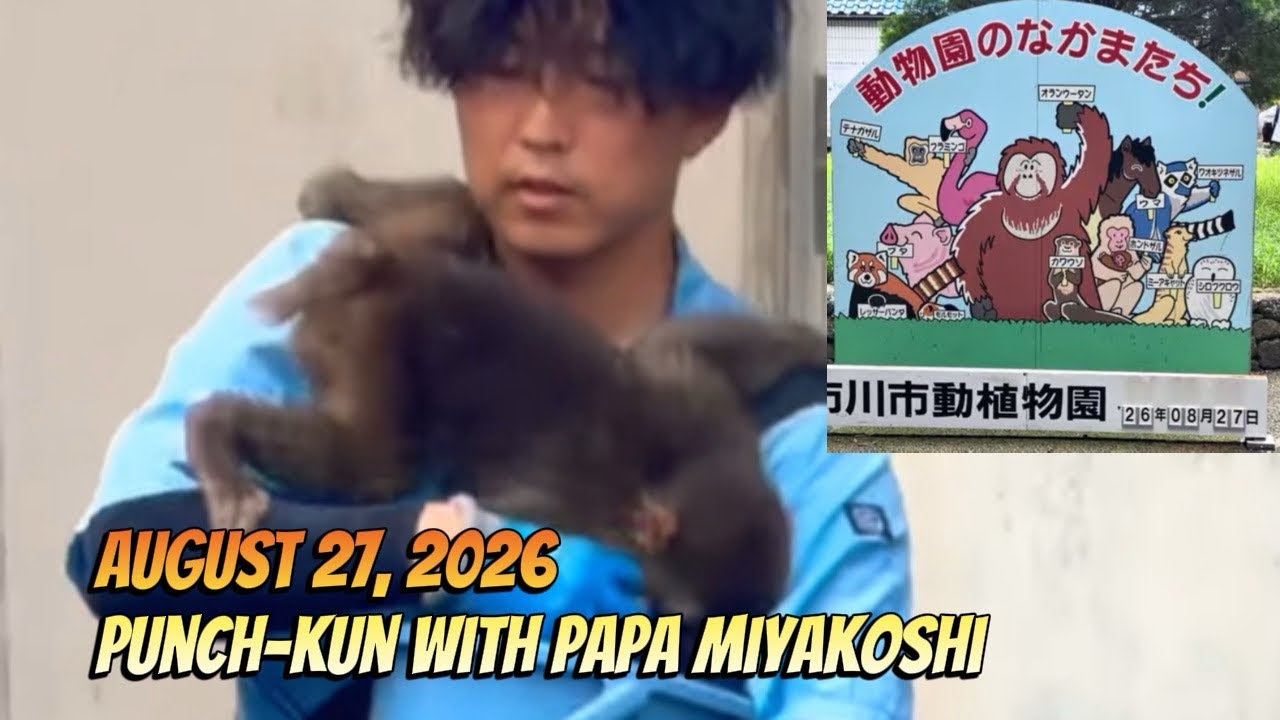 Punch and Papa Shumpei's Happy Feeding Time August 27, 2026