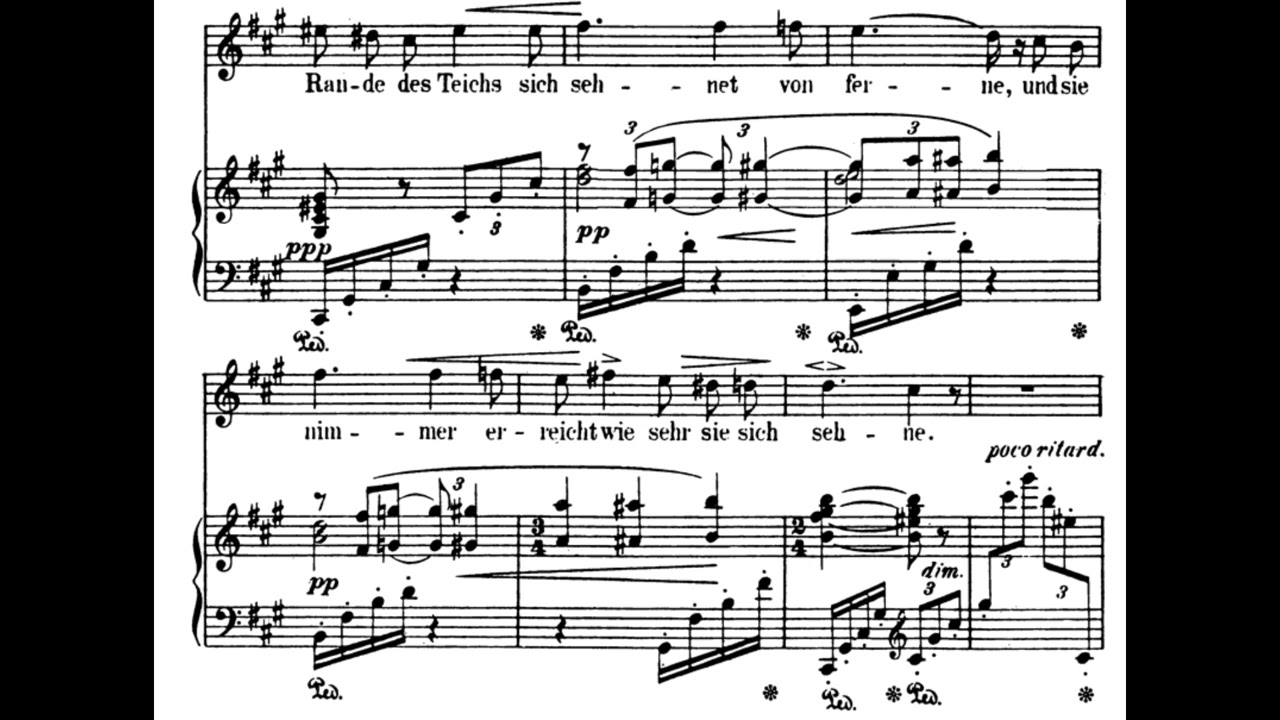 Wasserrose (R. Strauss) Score Animation