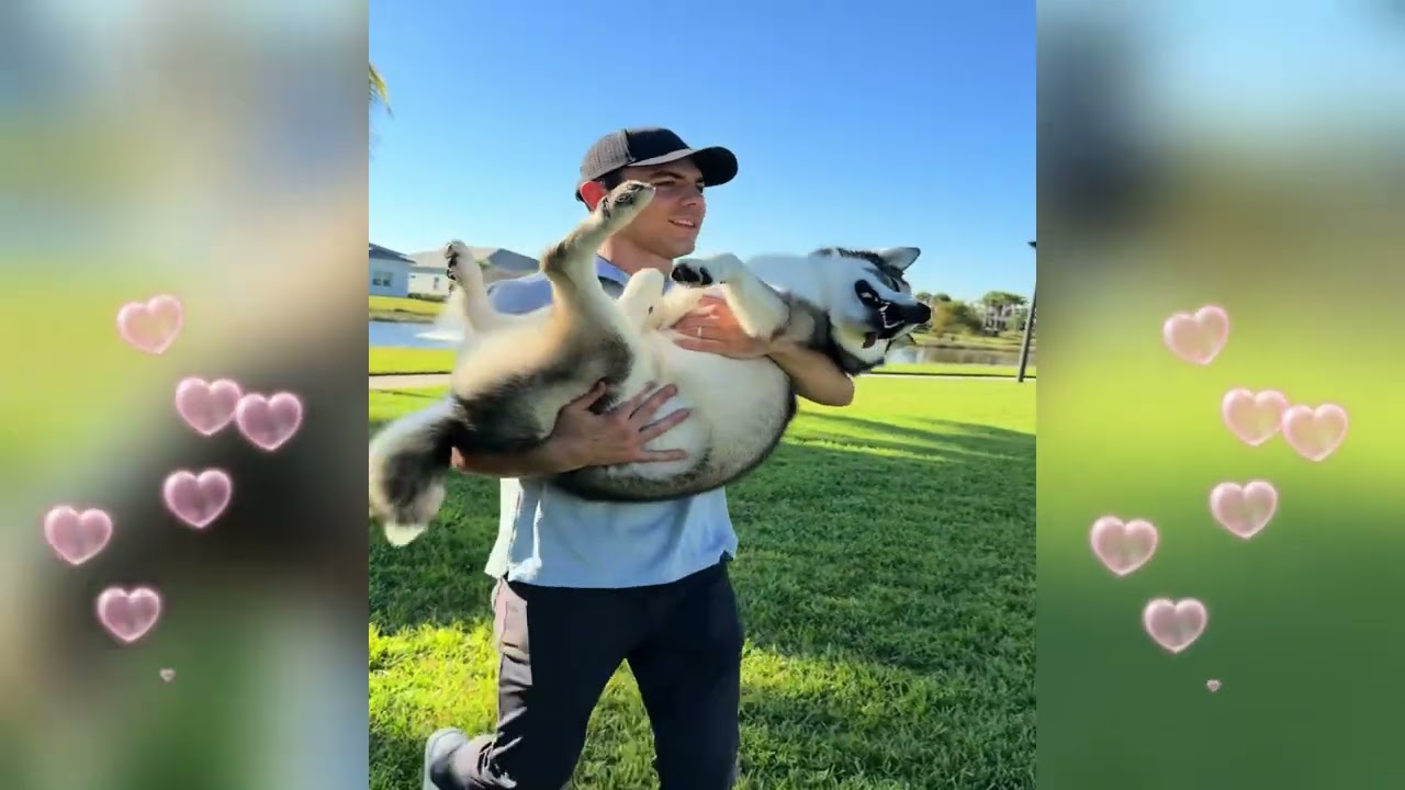 Живем своей собственной жизнью в люксе 👀 Кто готов к контенту из Бостона?