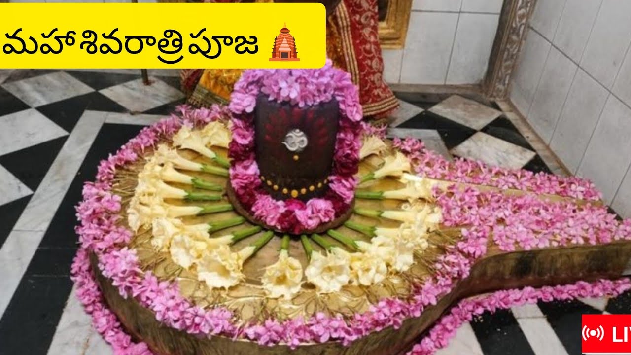మహాశివరాత్రి పూజ| mahashivratri pooja 🙏🏻🛕✨| bhavi|