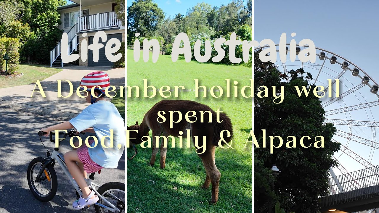 A December Holiday Well Spent Food, Family & Alpacas/호주의연말연휴 알파카 농장으로 아이들과 함께