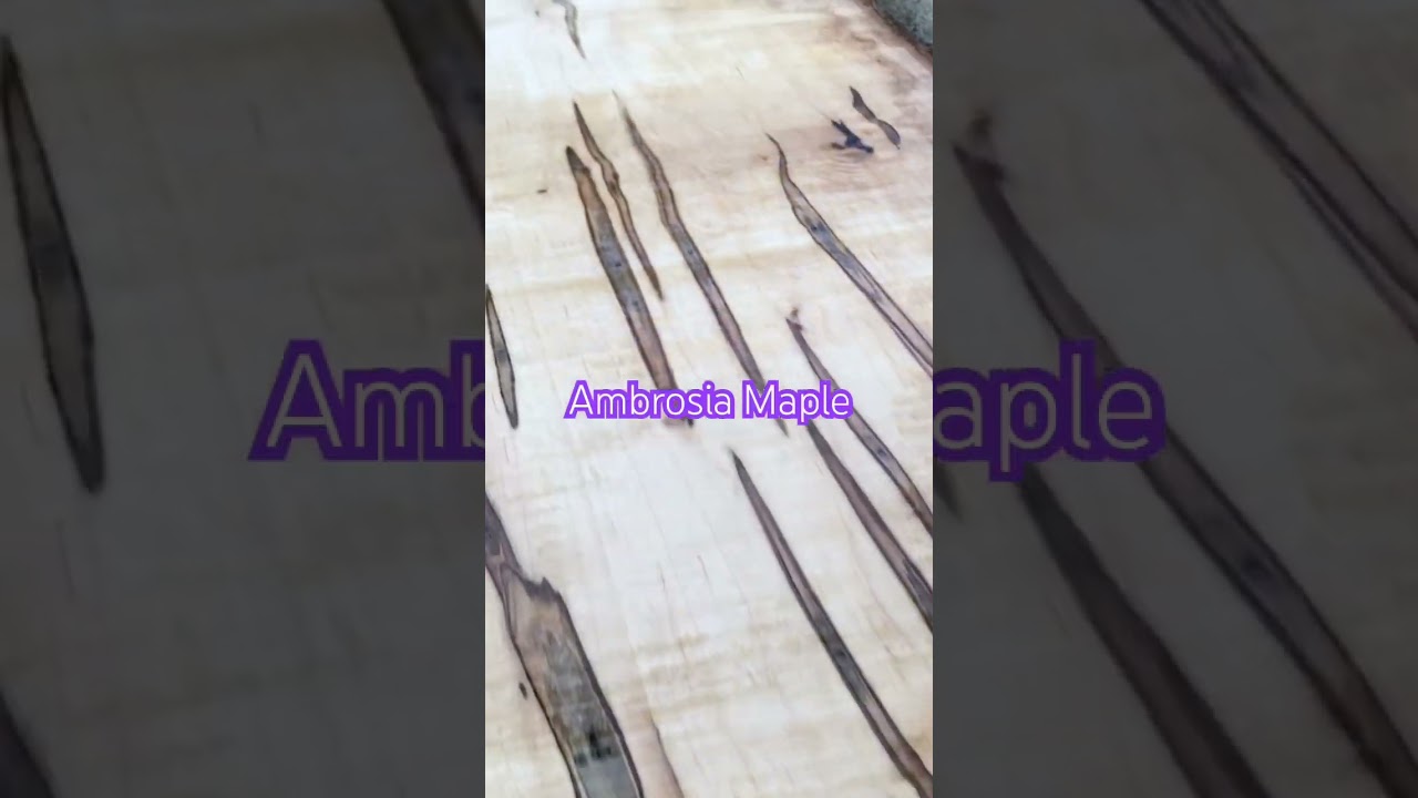 Black Walnut is great, Ambrosia Maple is fantastic!
