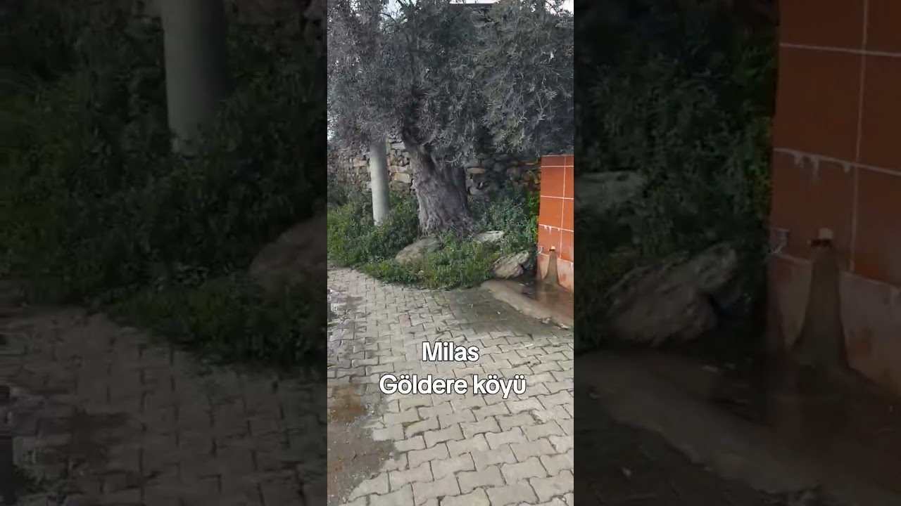 24 Şubat 2026