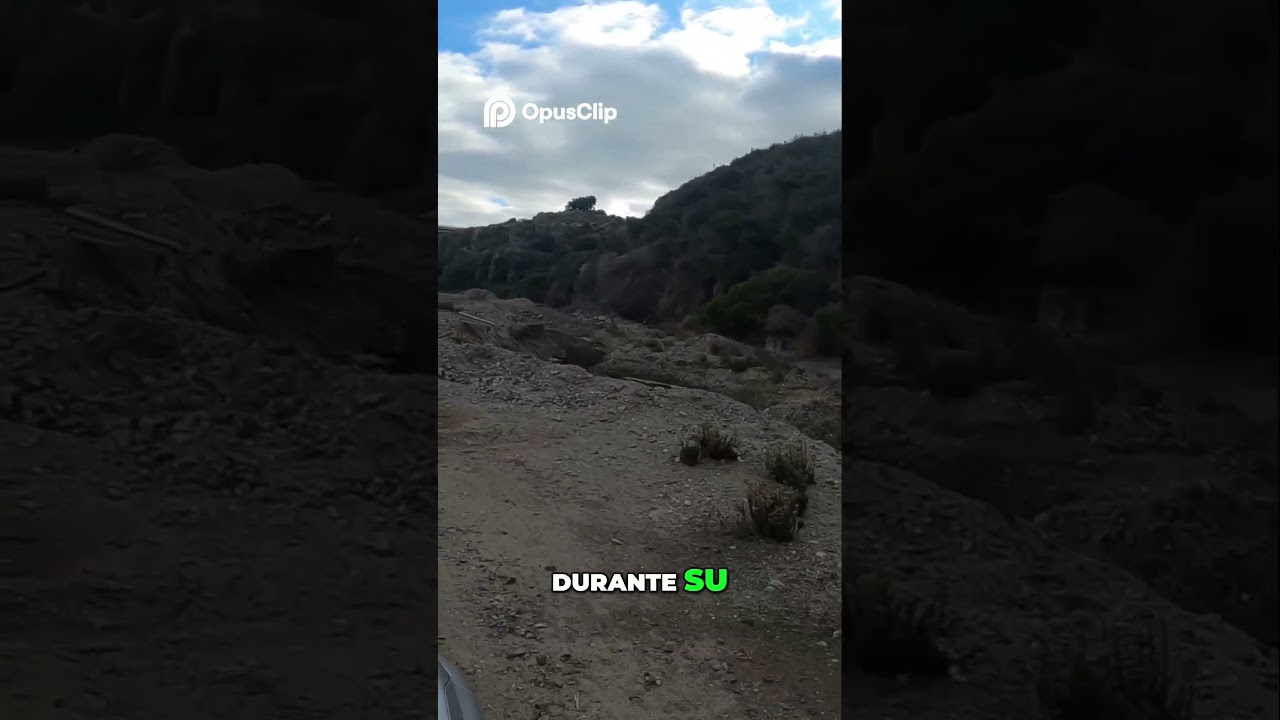 Descubre el R&iacute;o Quilimar&iacute;  Un Viaje por sus Aguas