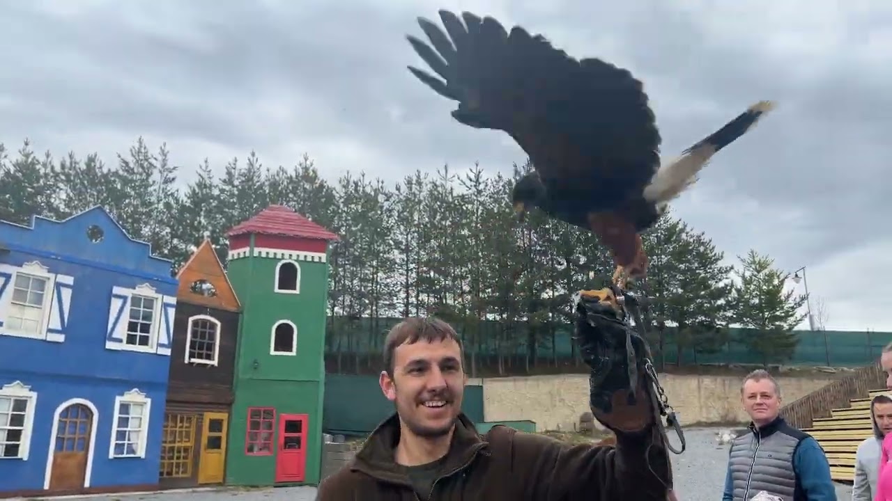 Zoo, Zoo Kontakt,Liptovský Mikuláš,Sokoliary