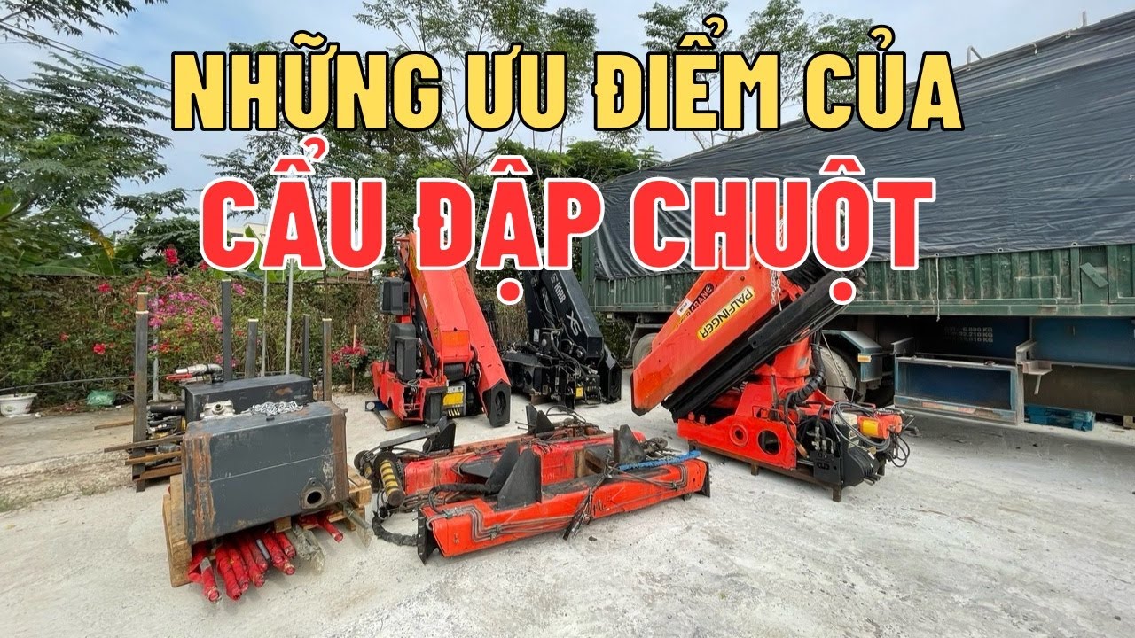 Những ưu điểm của cẩu 