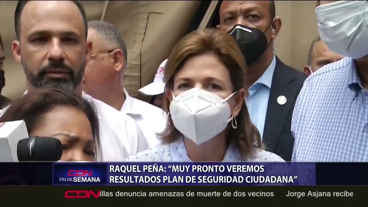 Vicepresidenta Raquel Pe&ntilde;a: 
