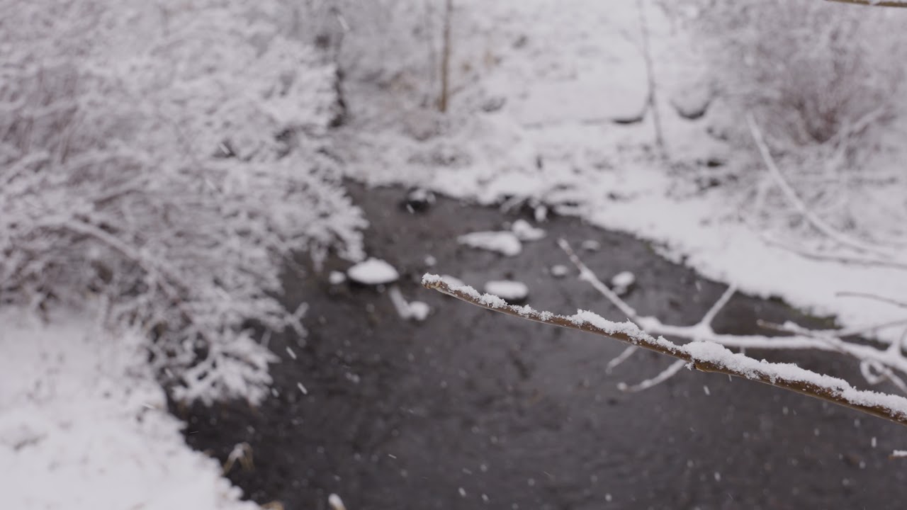 snow 60 fps