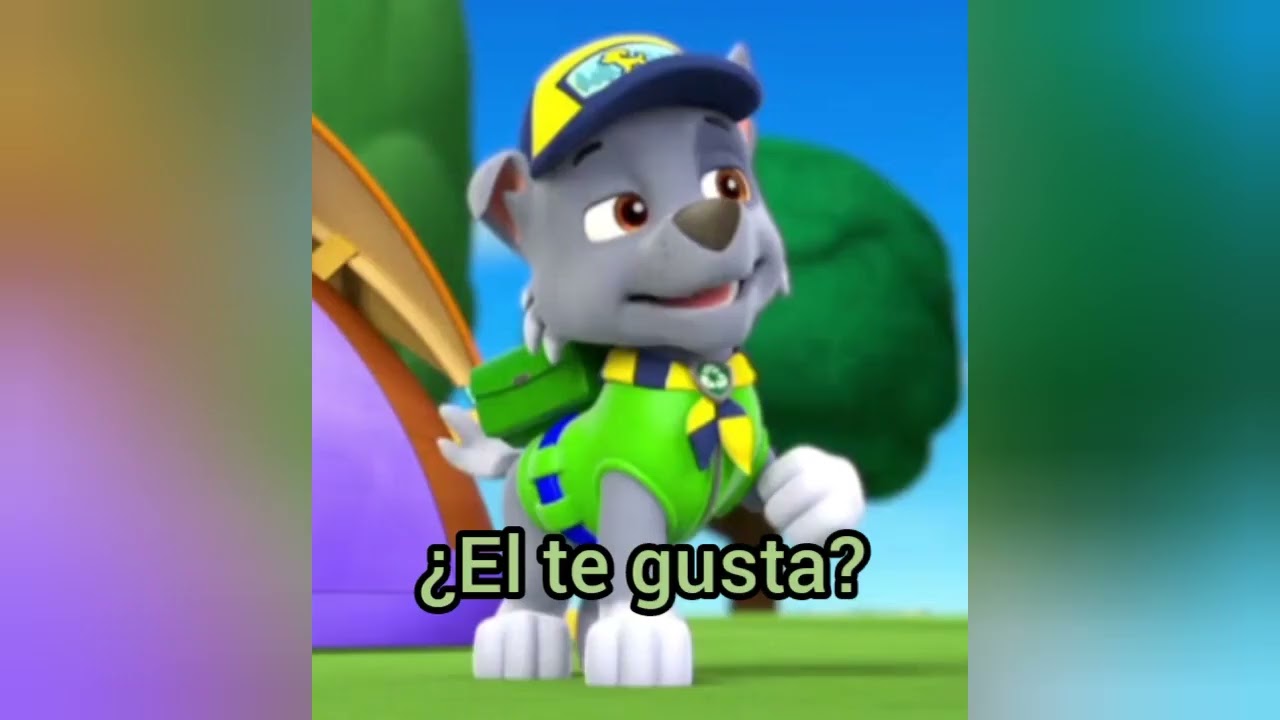Chase x Everest ¿Amor o confusión? | cap 5