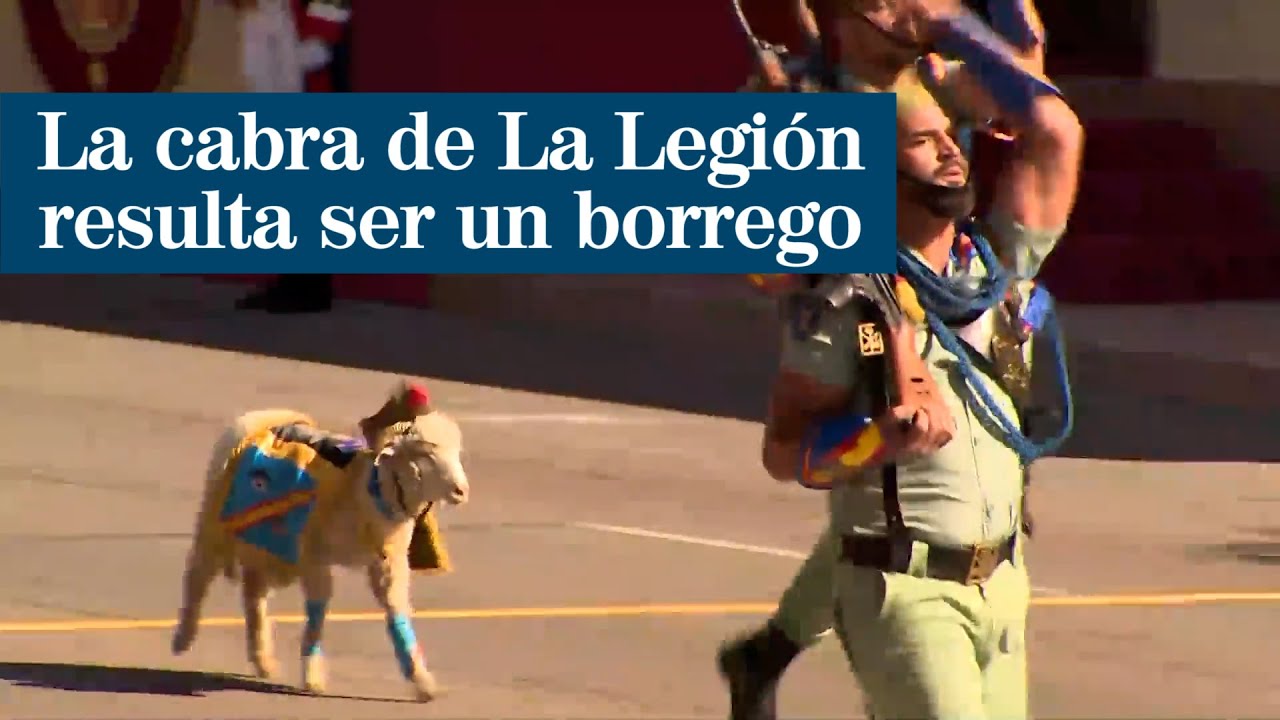 La cabra de La Legión resulta ser un borrego