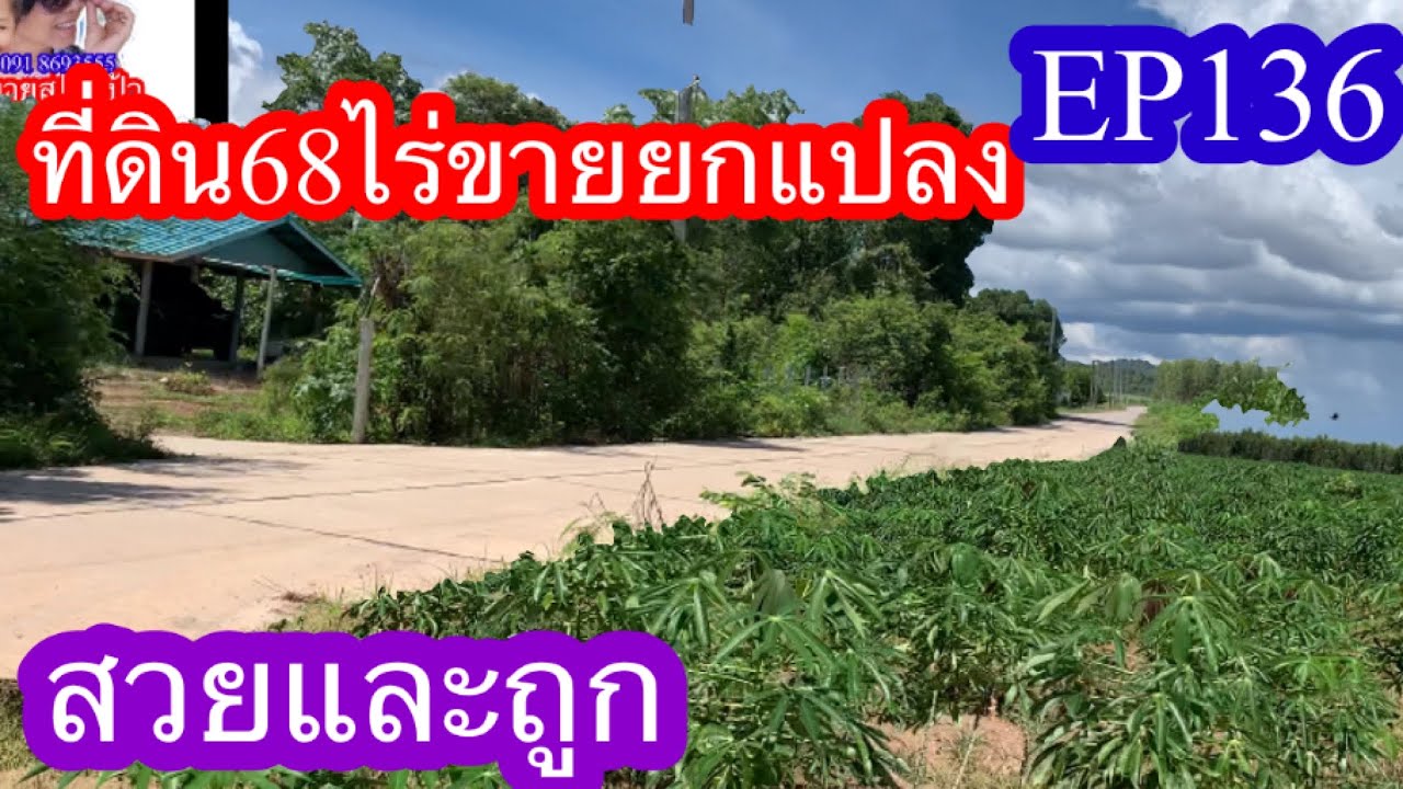 EP136สวยและถูก ขายที่ดินยกแปลง68ไร่ ต.หนองตากยา อ.ท่าม่วง จ.กาญจนบุรี