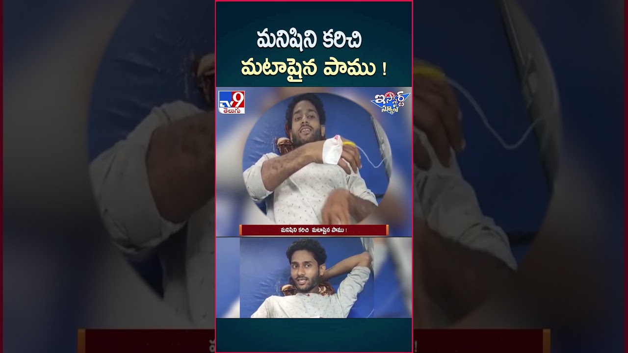 iSmart News : మనిషిని కరిచి మటాషైన పాము !  | Snake - TV9