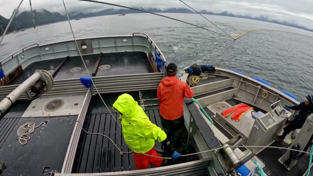 Southeast Alaska Seining