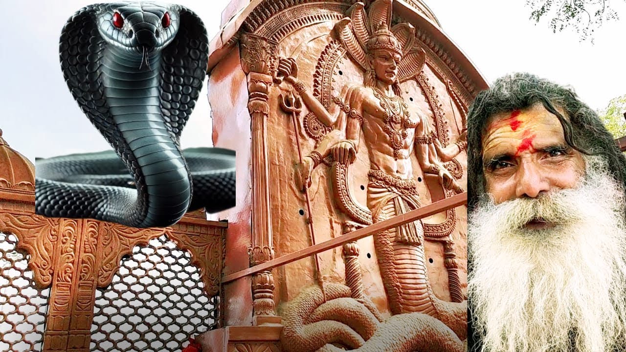 ।।शेषनाग भगवान ने स्वयं कहा की इस स्थान पे नागवासुकि जी विराजमान हैं।भोगवती तीर्थ भी यही हैं ll