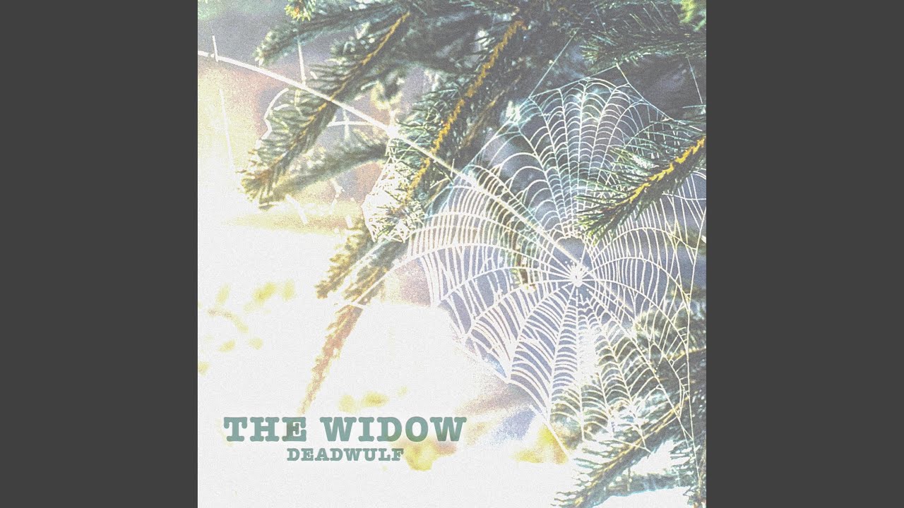 The Widow
