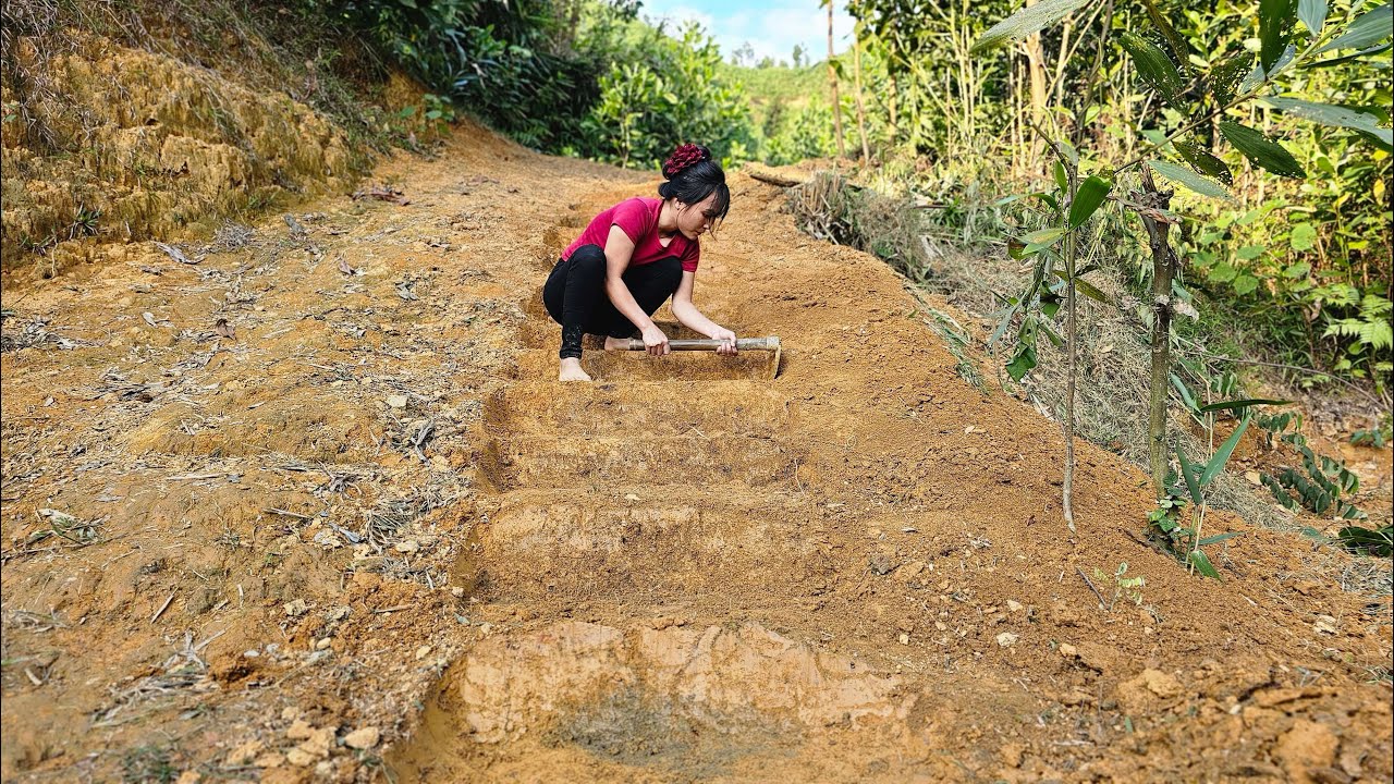 Designing a stepped staircase - Building a self-sufficient farm in the forest