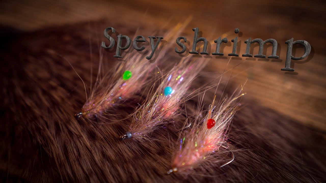 Fluebinding: Kystflue Spey shrimp (fly tying)