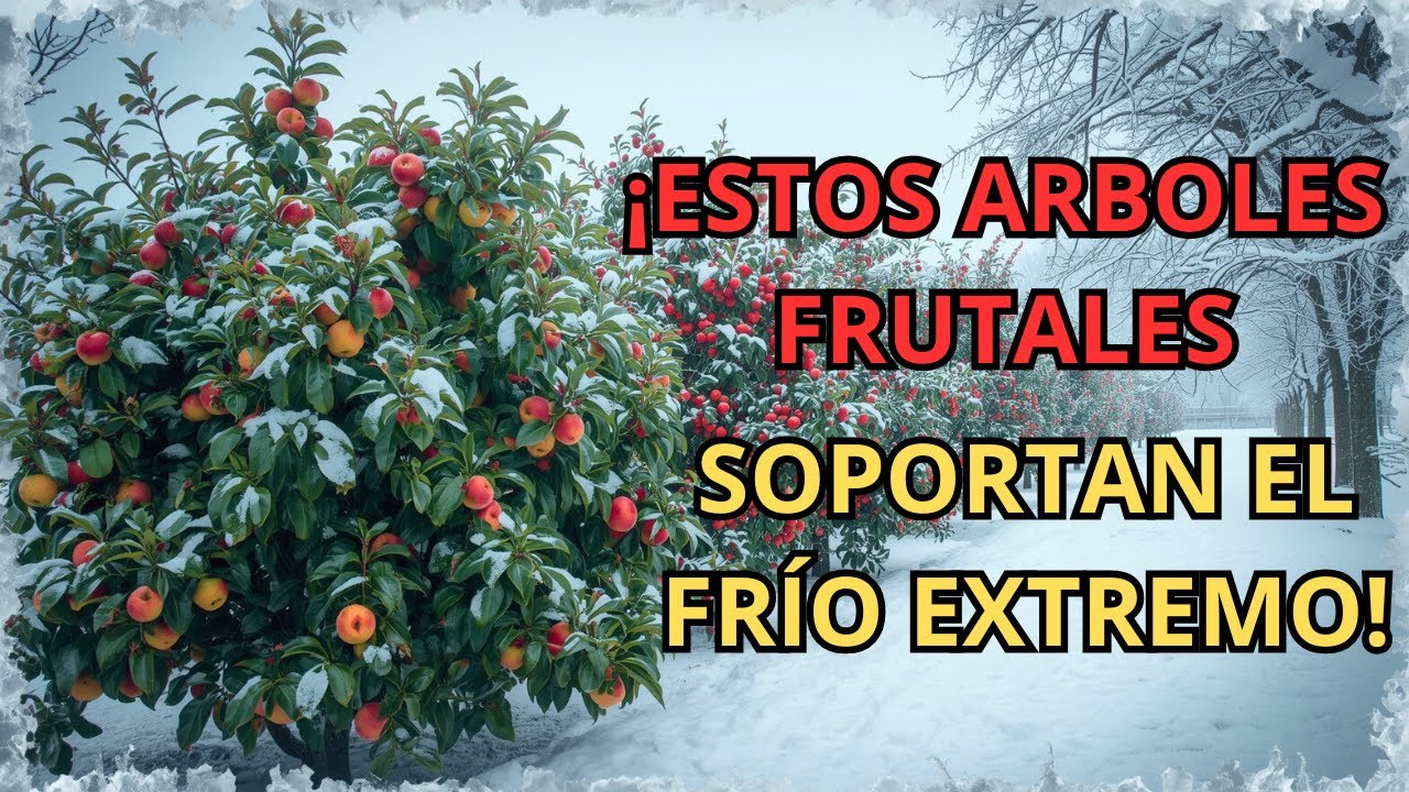 NI EL INVIERNO LOS DETIENE | 10 &Aacute;rboles FRUTALES Que Resisten el FR&Iacute;O y ADEM&Aacute;S Dan Fruta.