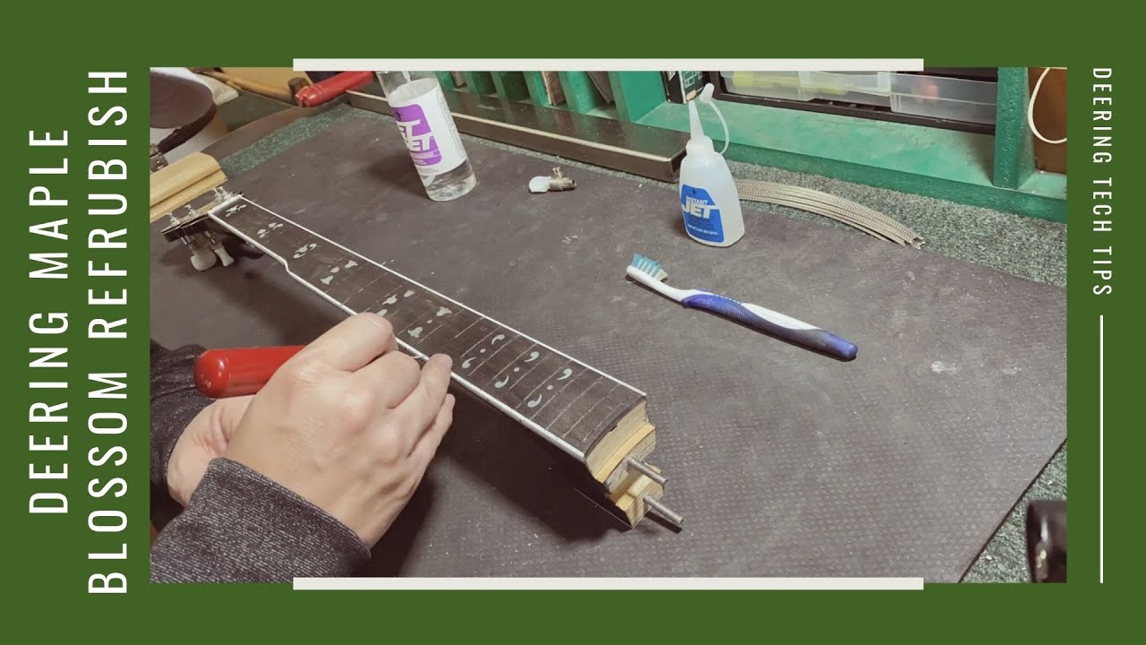 Deering Maple Blossom Banjo Refurbish Demo