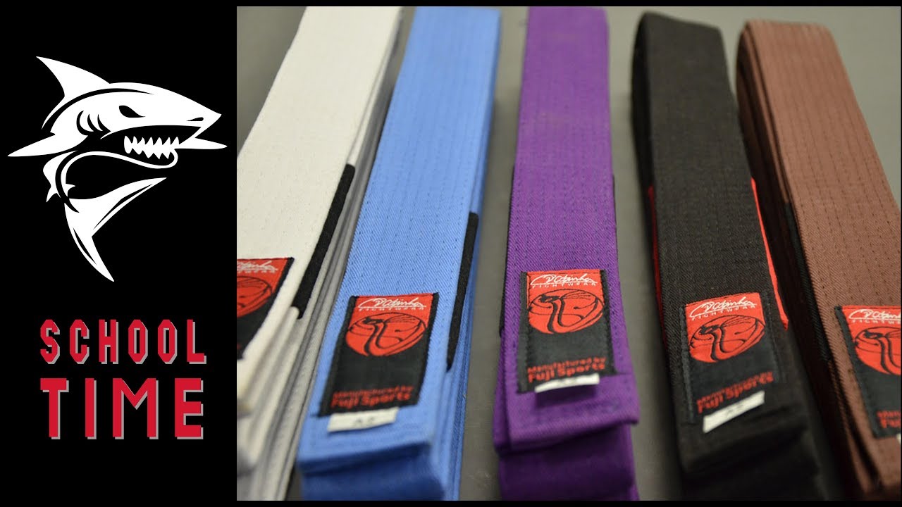 Jiu-Jitsu BJJ Belts Explained
