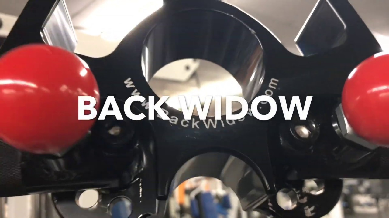 Flex wheelers the Back widow